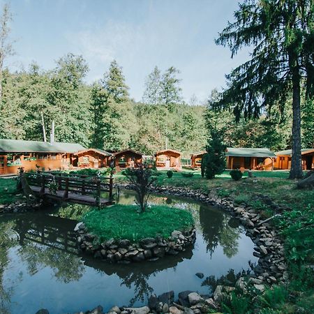 Hotel Vidra Park à Sicasău Extérieur photo