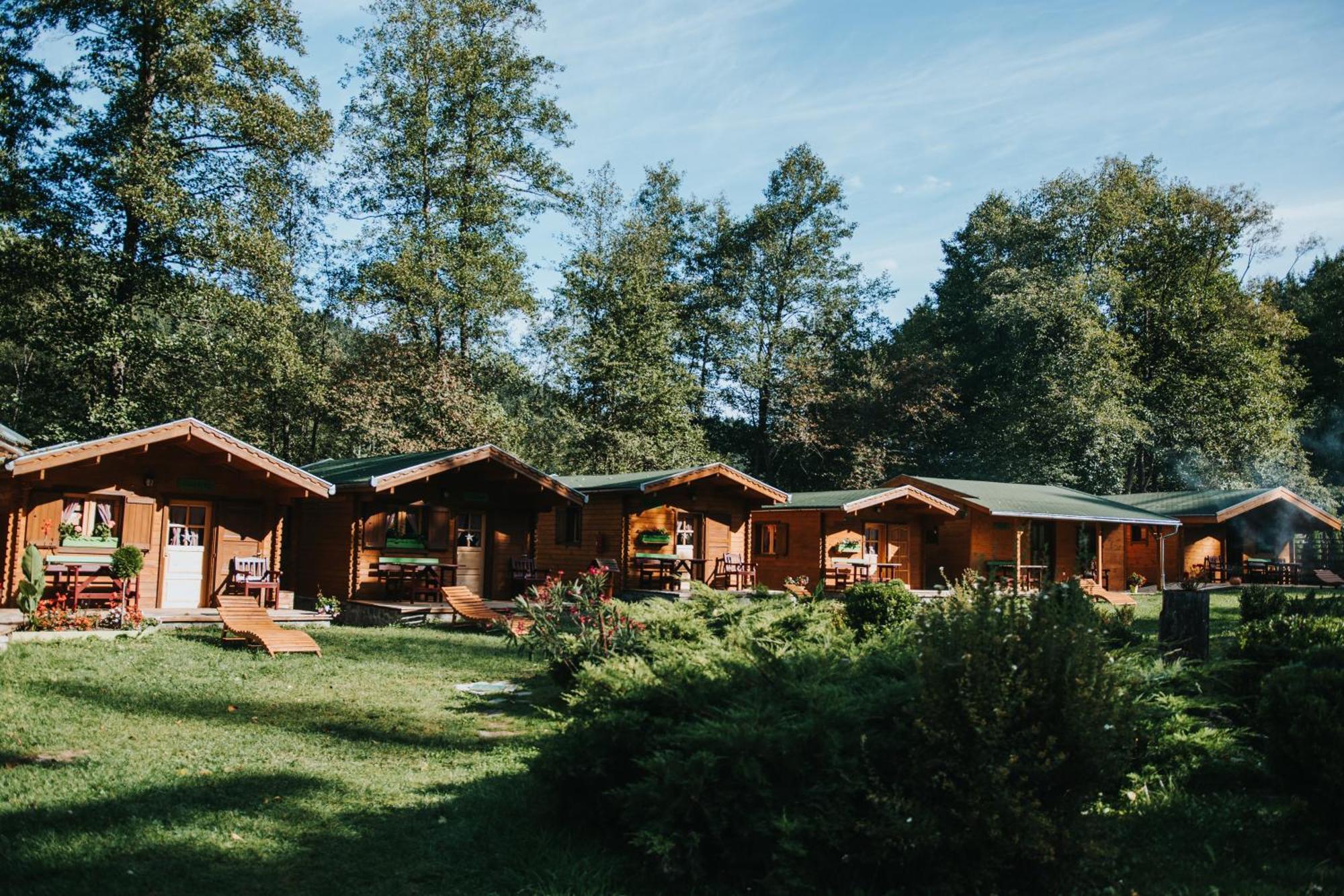 Hotel Vidra Park à Sicasău Extérieur photo
