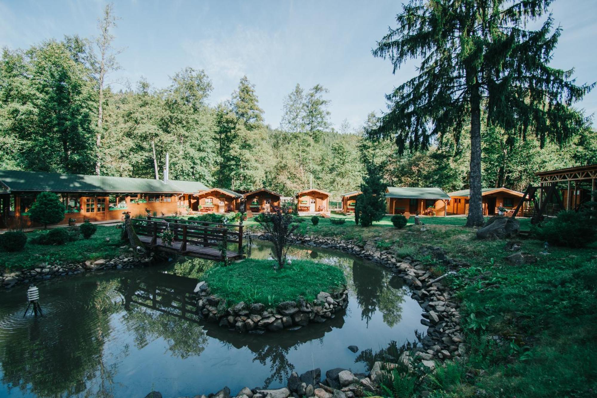 Hotel Vidra Park à Sicasău Extérieur photo