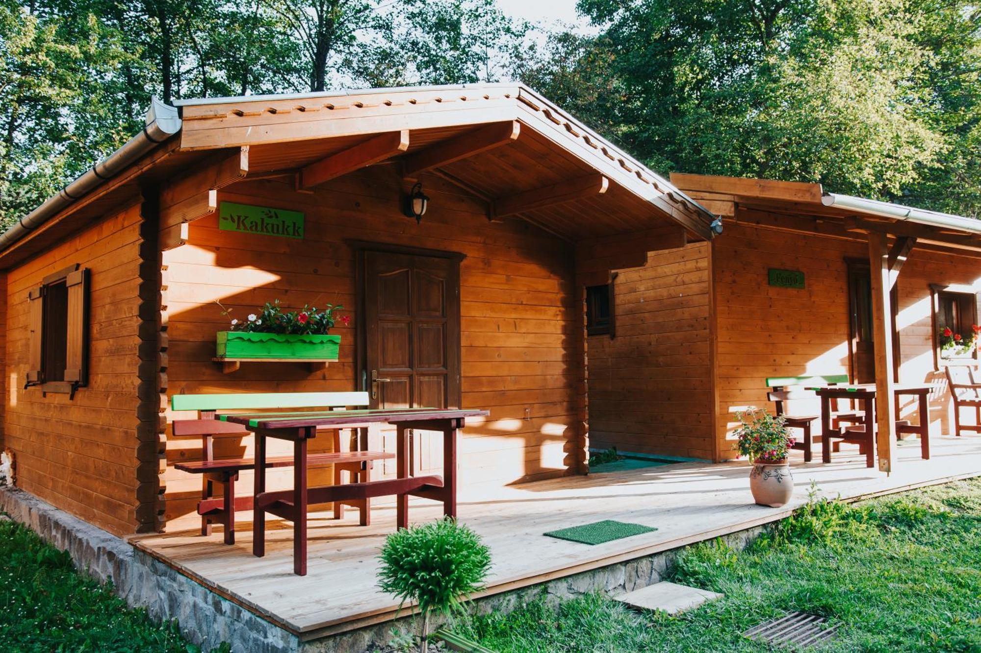 Hotel Vidra Park à Sicasău Extérieur photo